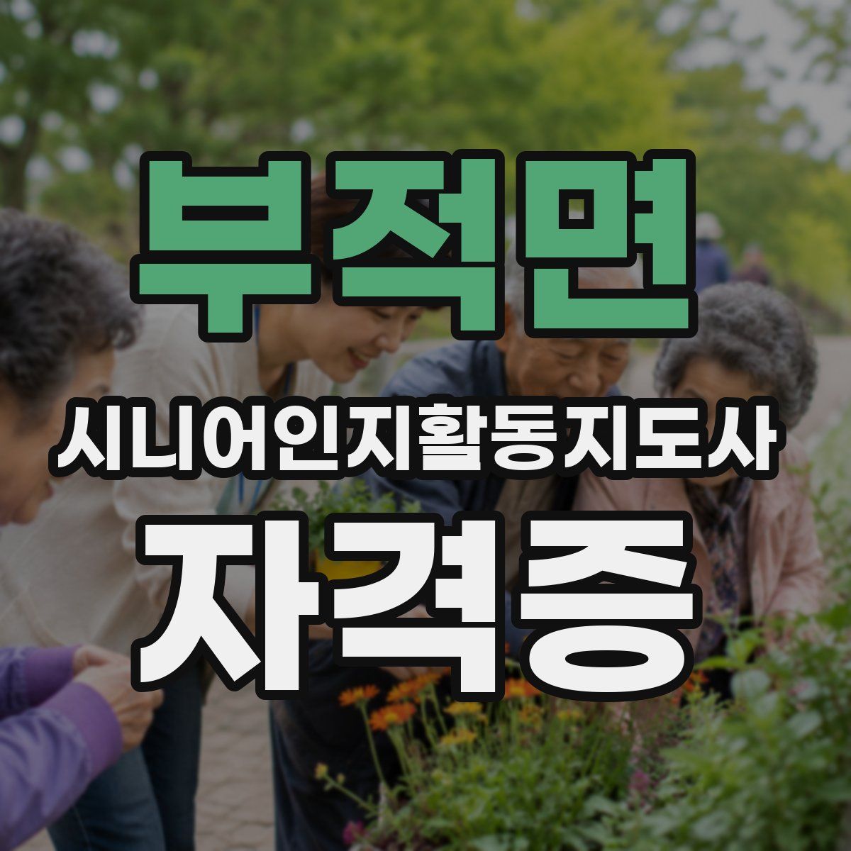 부적면 시니어인지활동지도사 자격증