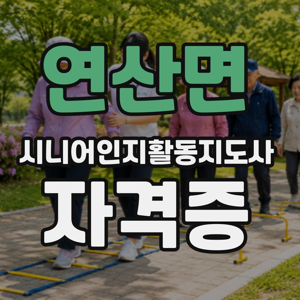 연산면 시니어인지활동지도사 자격증