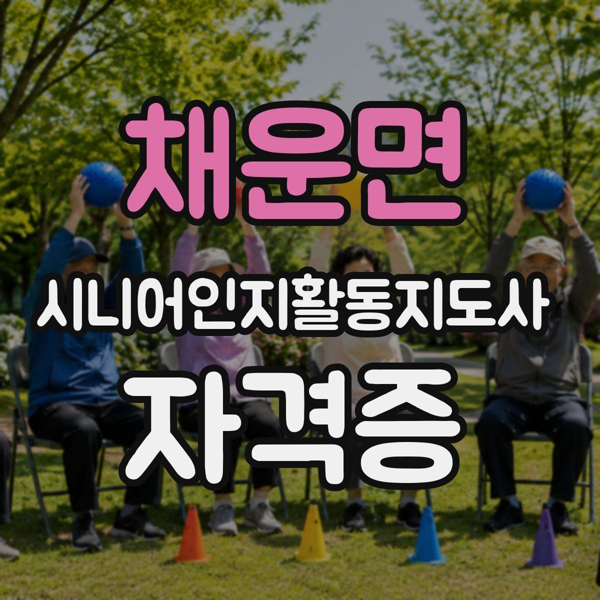 채운면 시니어인지활동지도사 자격증