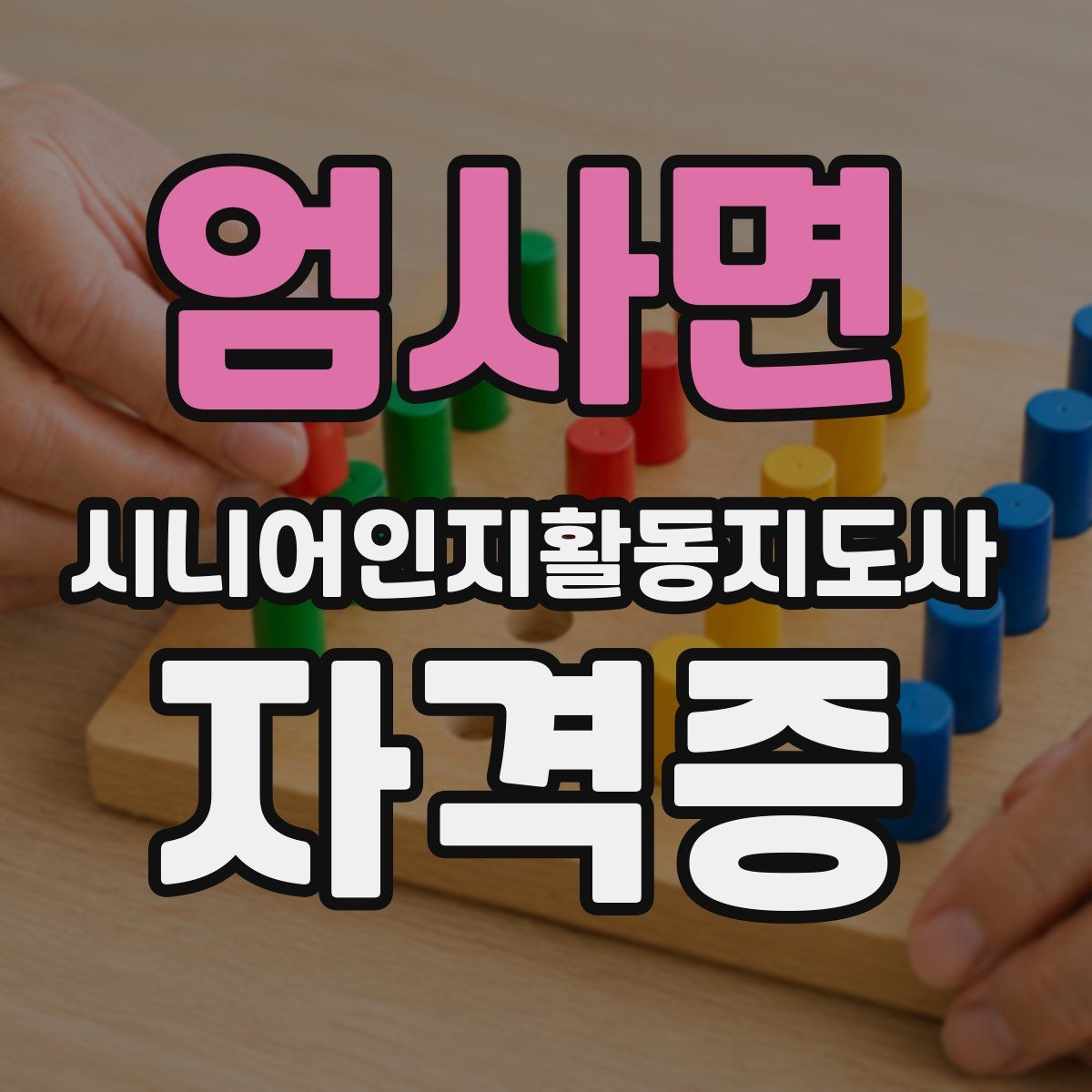 엄사면 시니어인지활동지도사 자격증