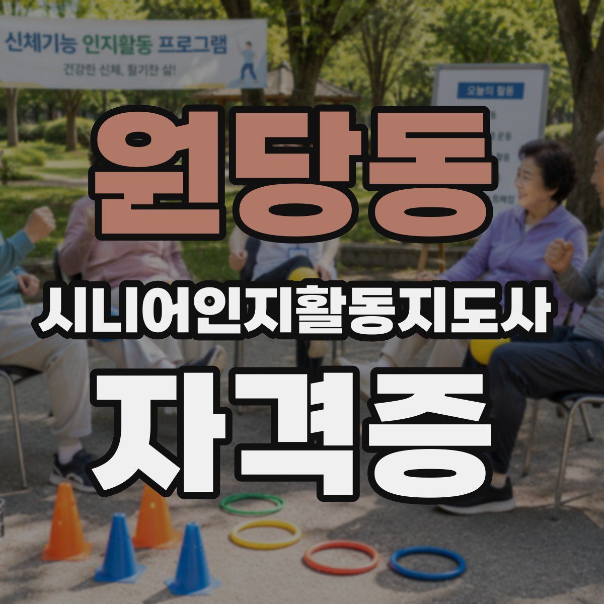 원당동 시니어인지활동지도사 자격증
