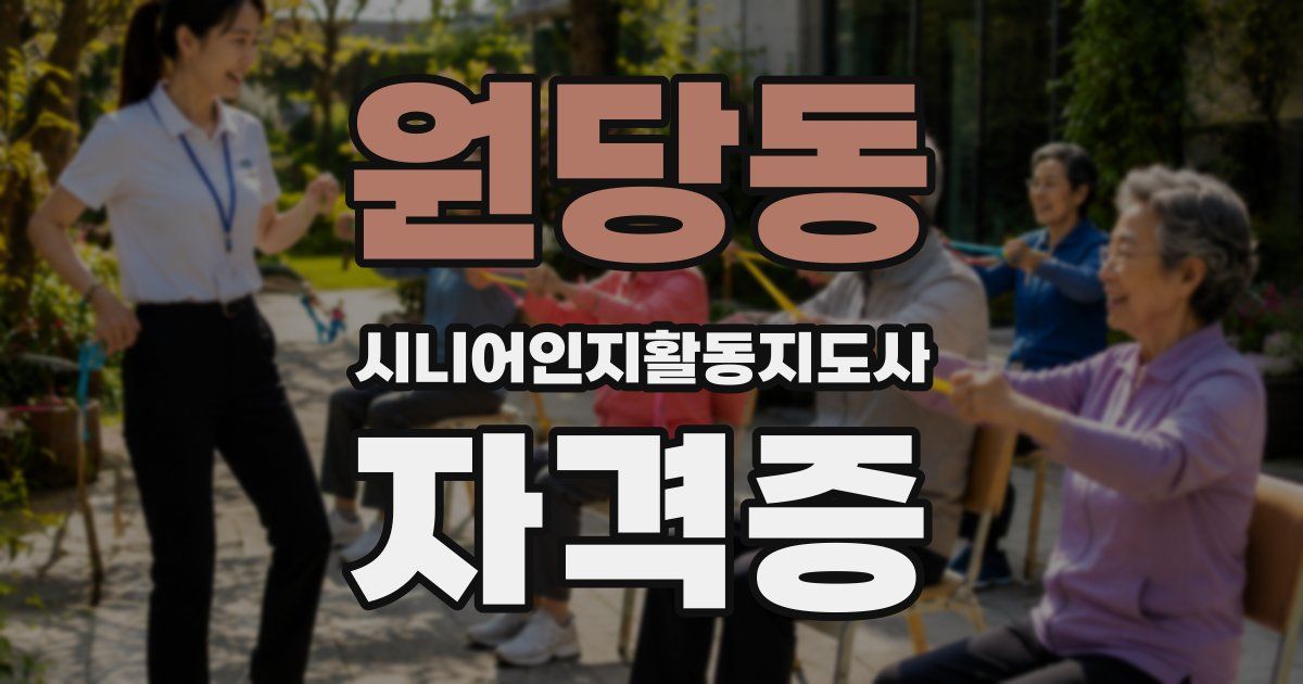 원당동 시니어인지활동지도사 자격증
