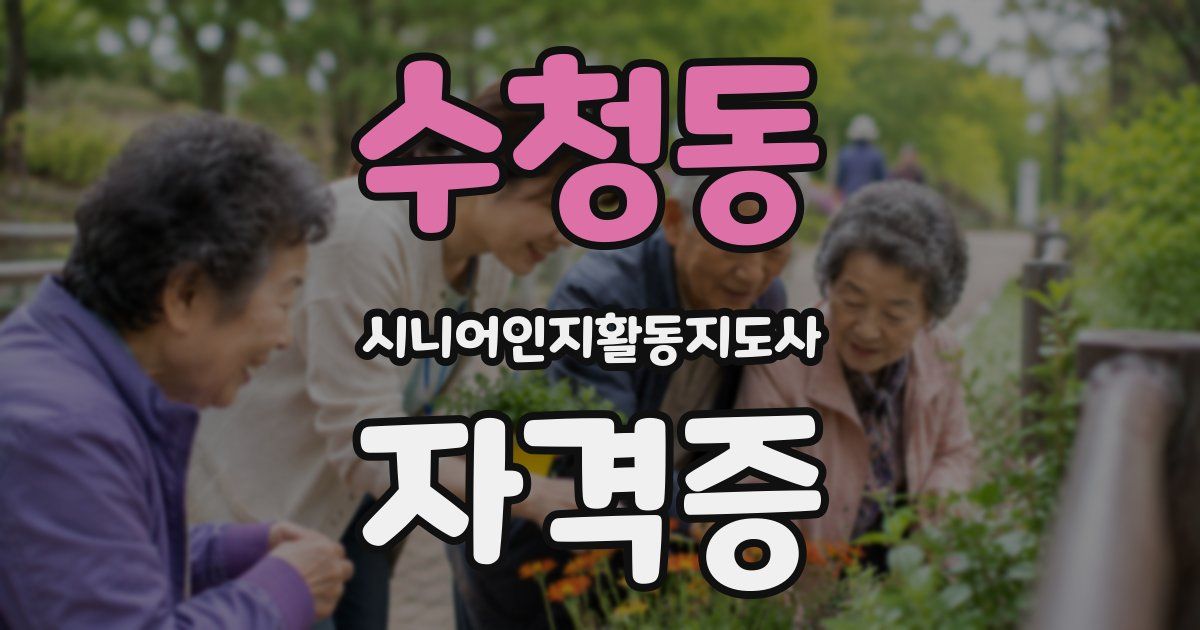 수청동 시니어인지활동지도사 자격증
