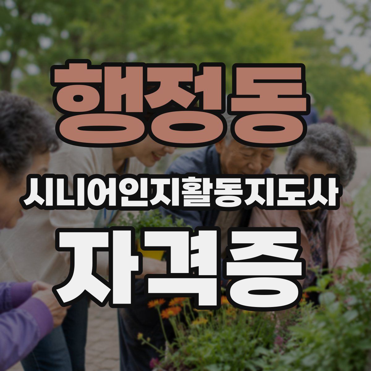 행정동 시니어인지활동지도사 자격증