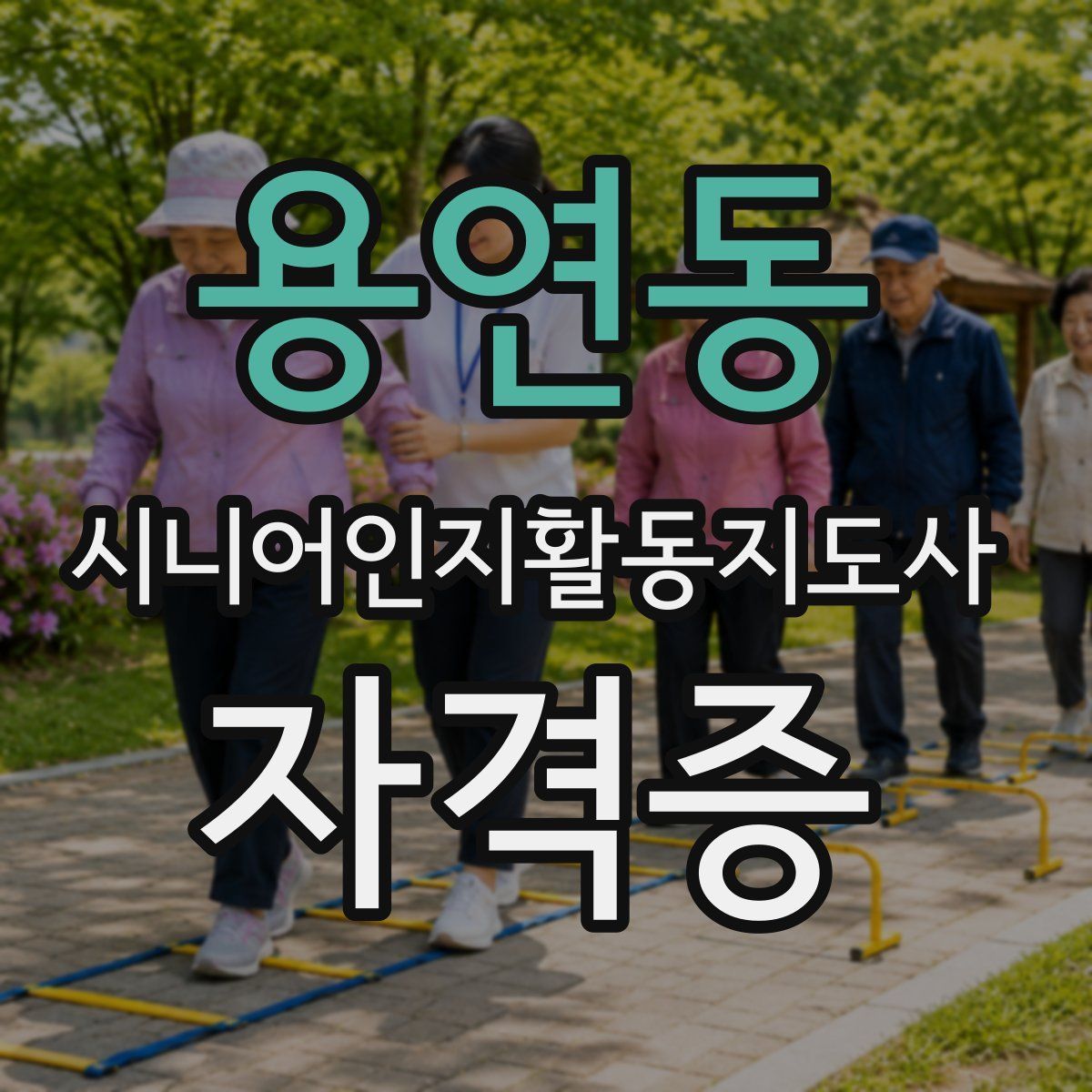 용연동 시니어인지활동지도사 자격증