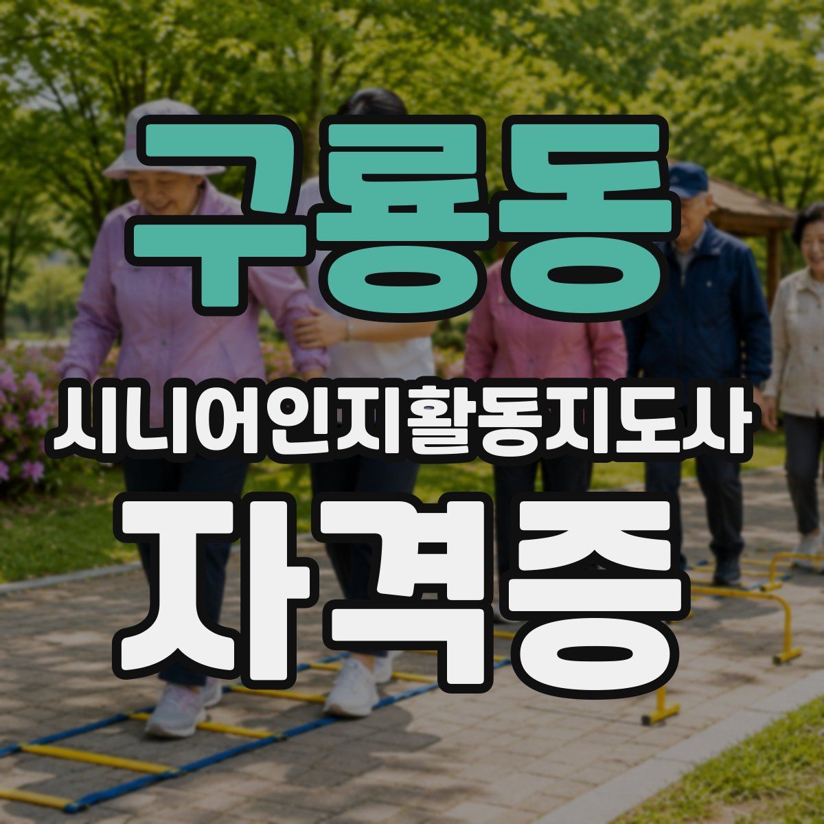 구룡동 시니어인지활동지도사 자격증