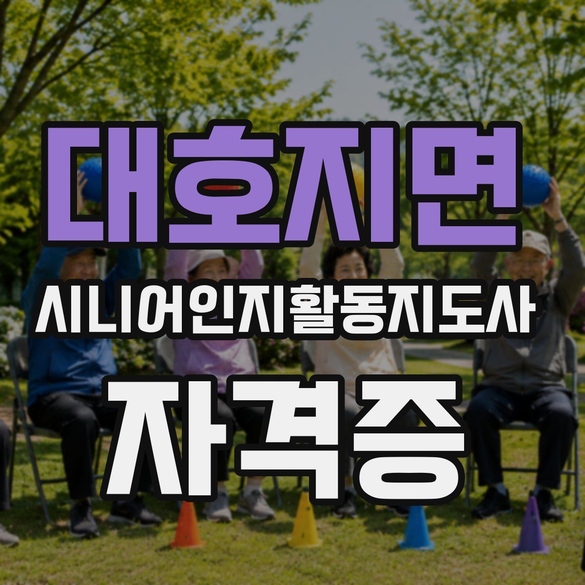 대호지면 시니어인지활동지도사 자격증