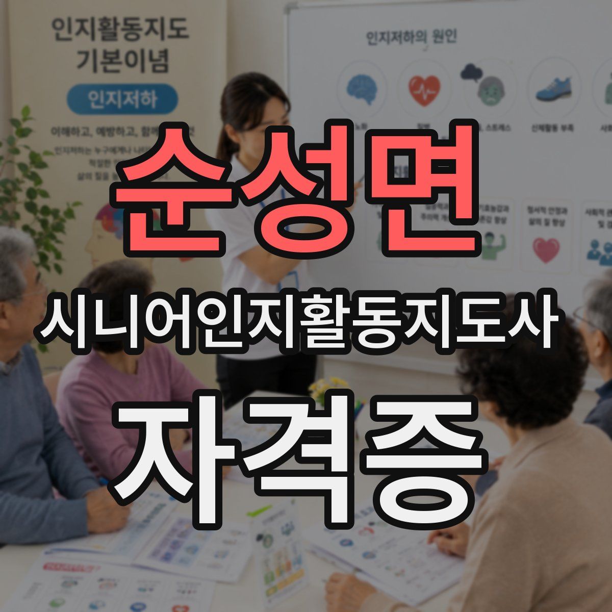 순성면 시니어인지활동지도사 자격증