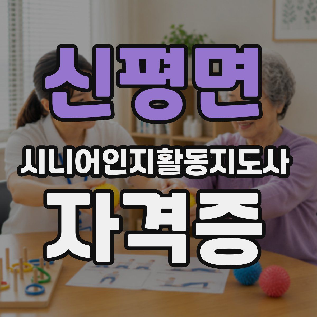 신평면 시니어인지활동지도사 자격증