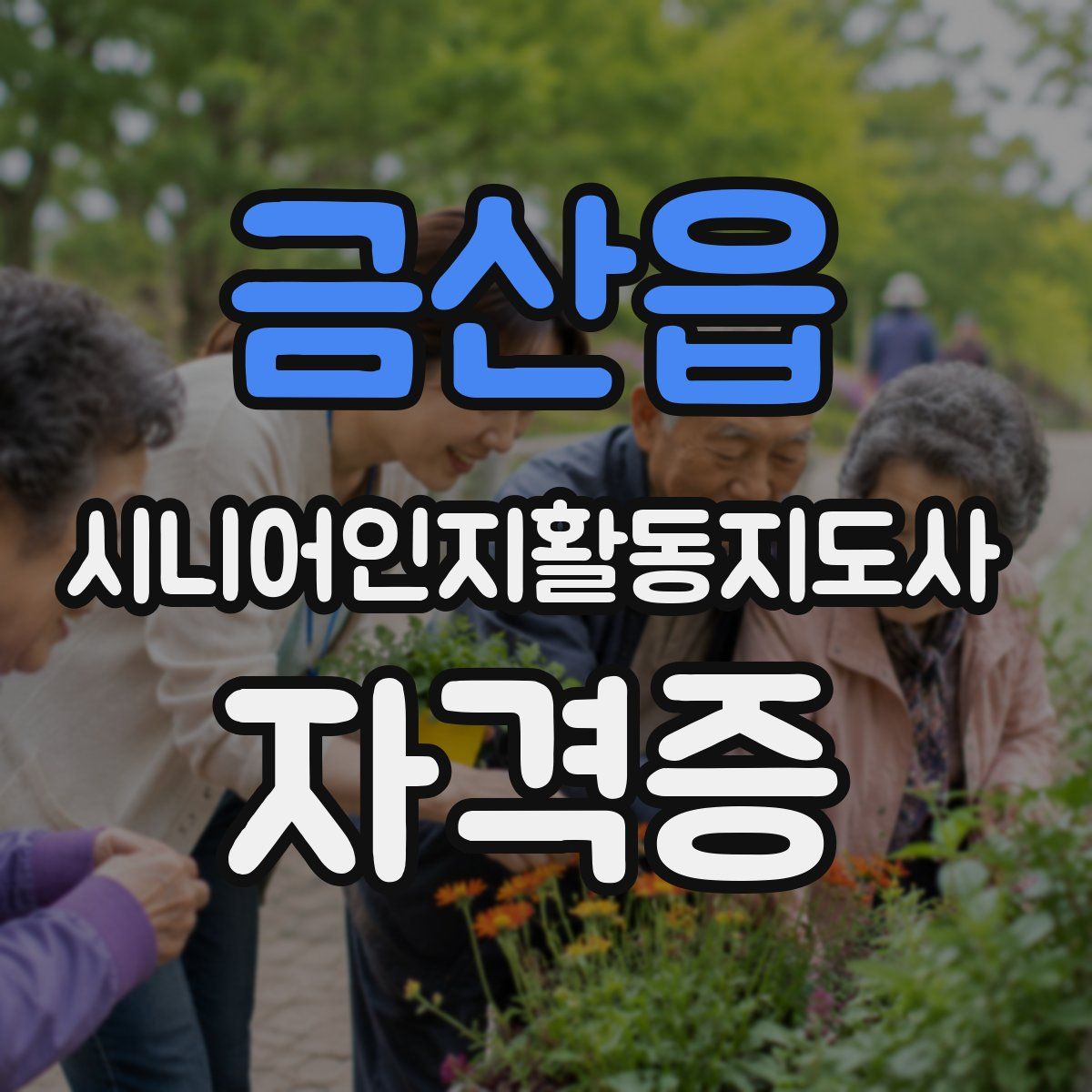 금산읍 시니어인지활동지도사 자격증