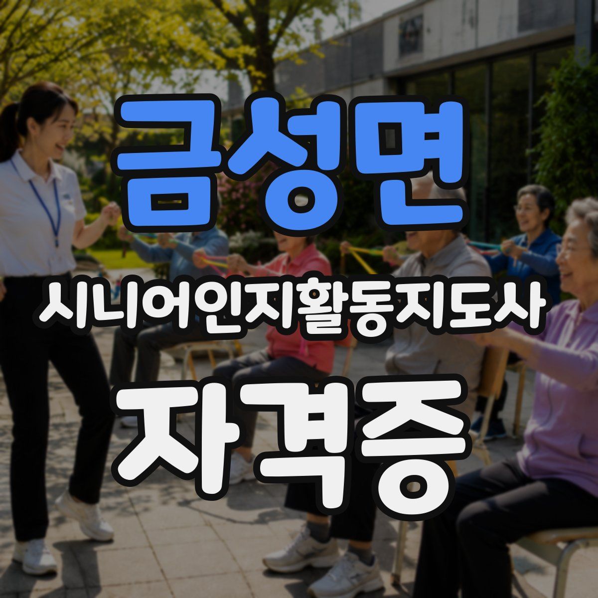 금성면 시니어인지활동지도사 자격증