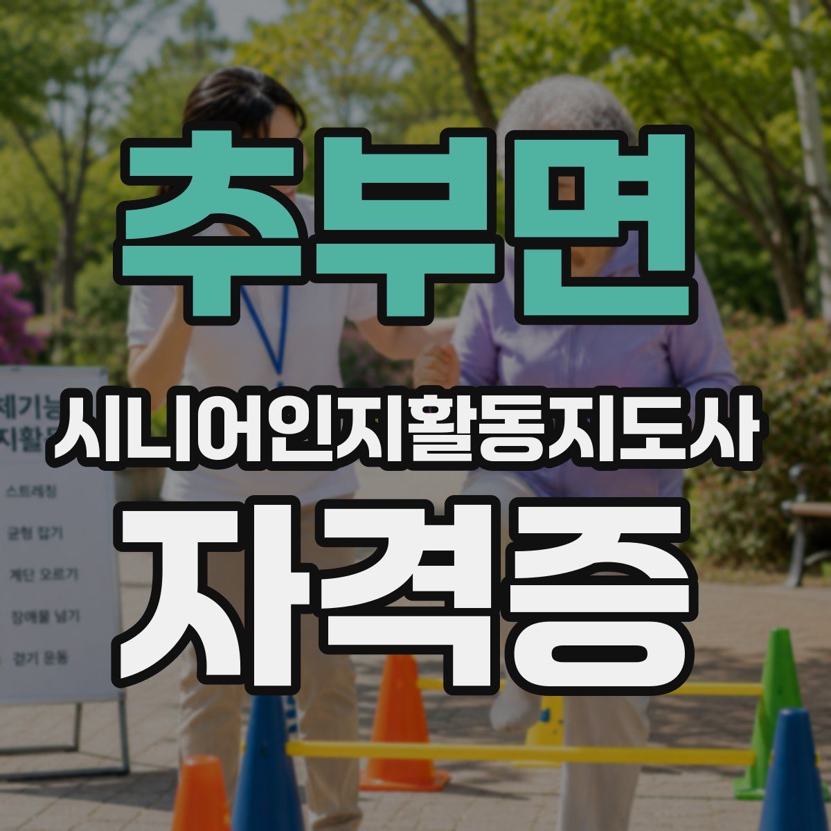 추부면 시니어인지활동지도사 자격증