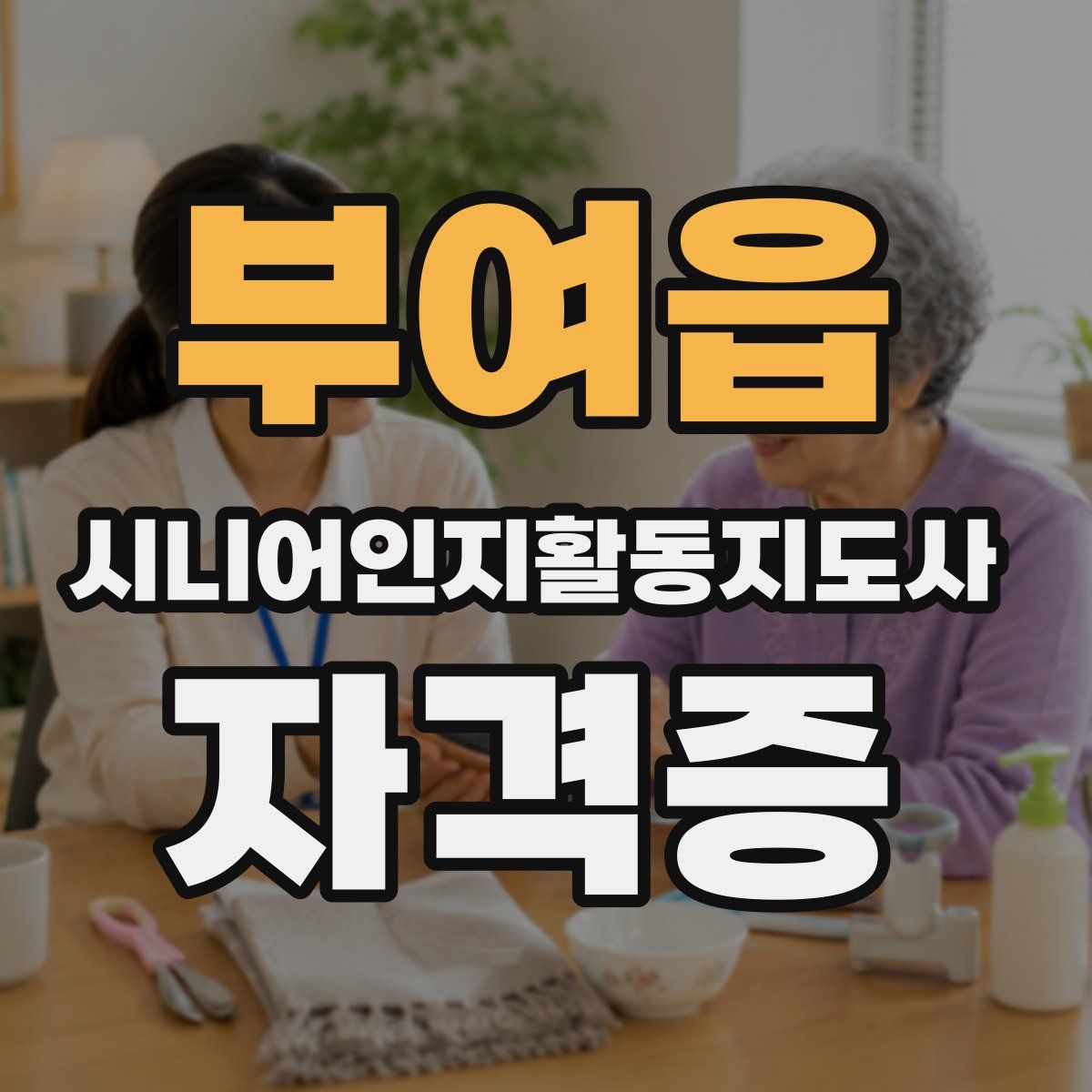 부여읍 시니어인지활동지도사 자격증