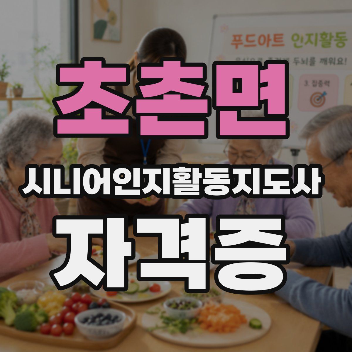 초촌면 시니어인지활동지도사 자격증
