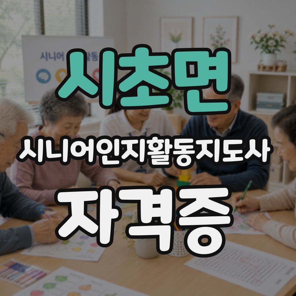 시초면 시니어인지활동지도사 자격증