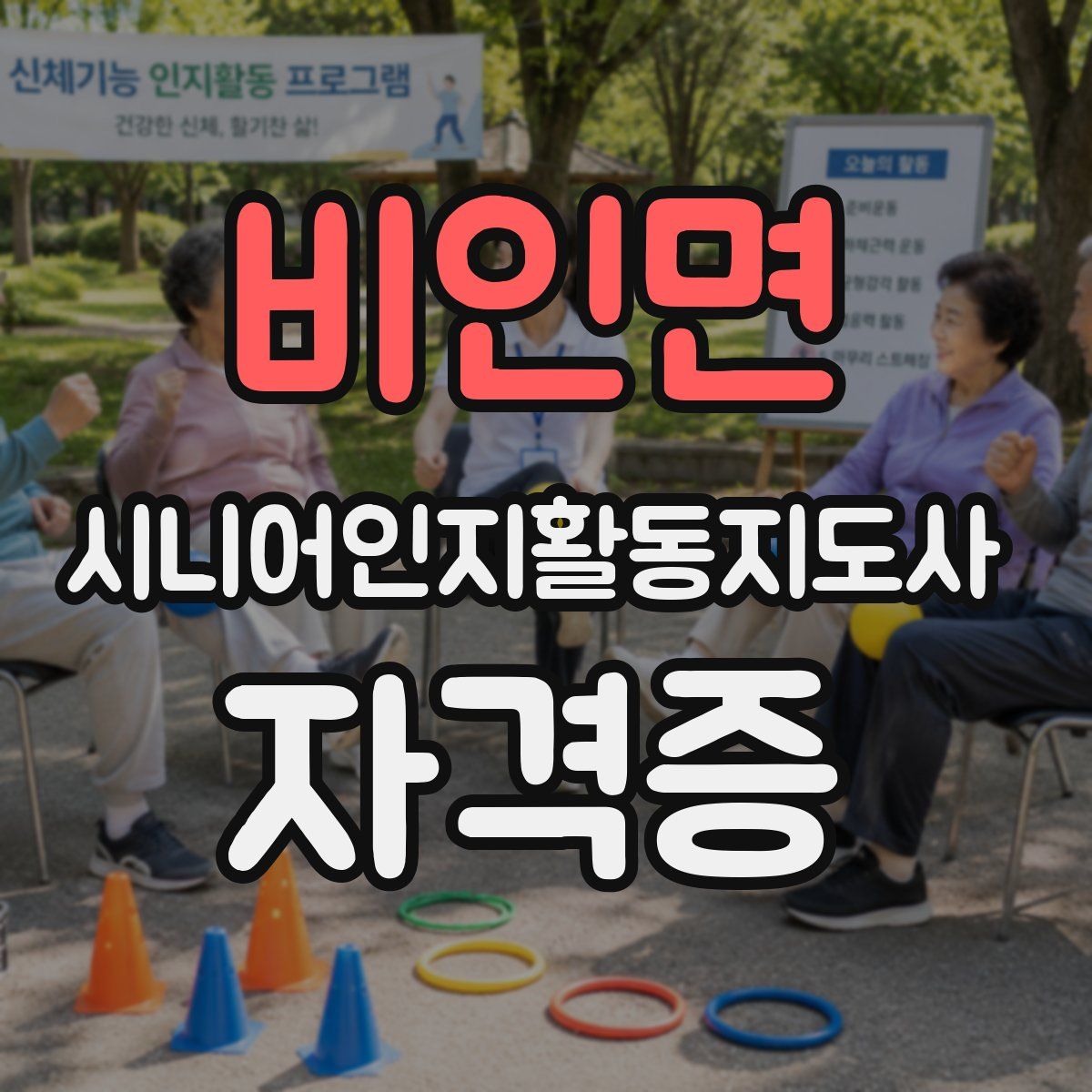 비인면 시니어인지활동지도사 자격증