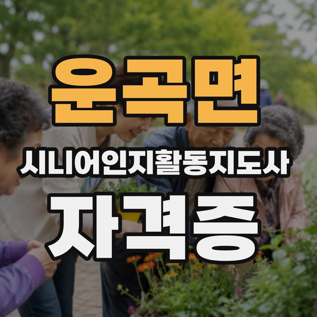 운곡면 시니어인지활동지도사 자격증