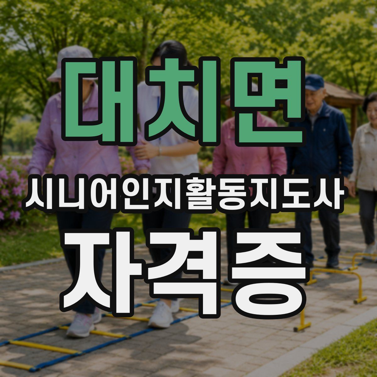 대치면 시니어인지활동지도사 자격증