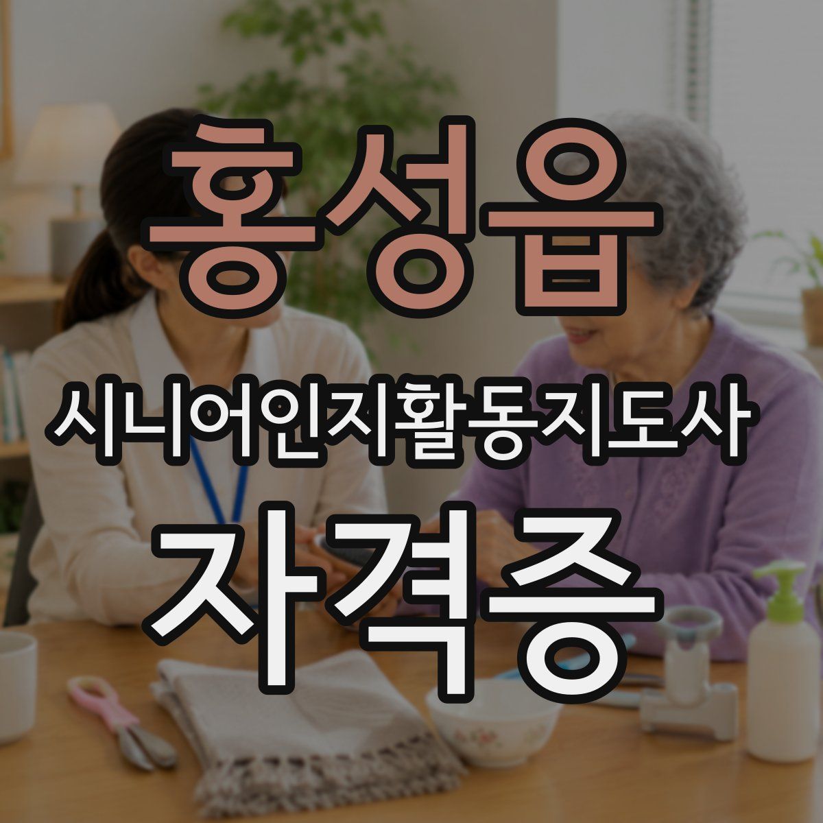 홍성읍 시니어인지활동지도사 자격증