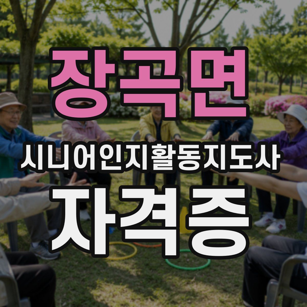 장곡면 시니어인지활동지도사 자격증