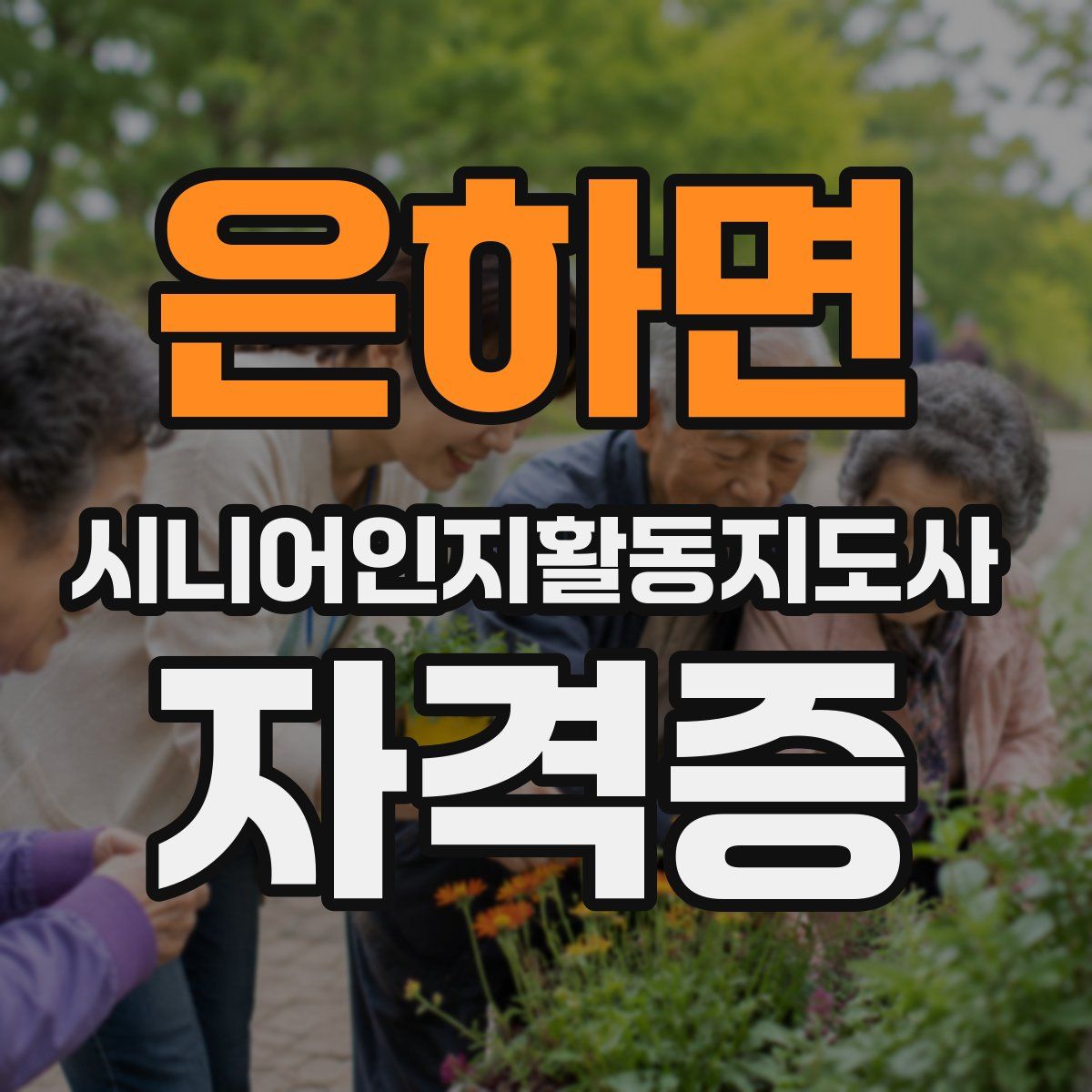 은하면 시니어인지활동지도사 자격증