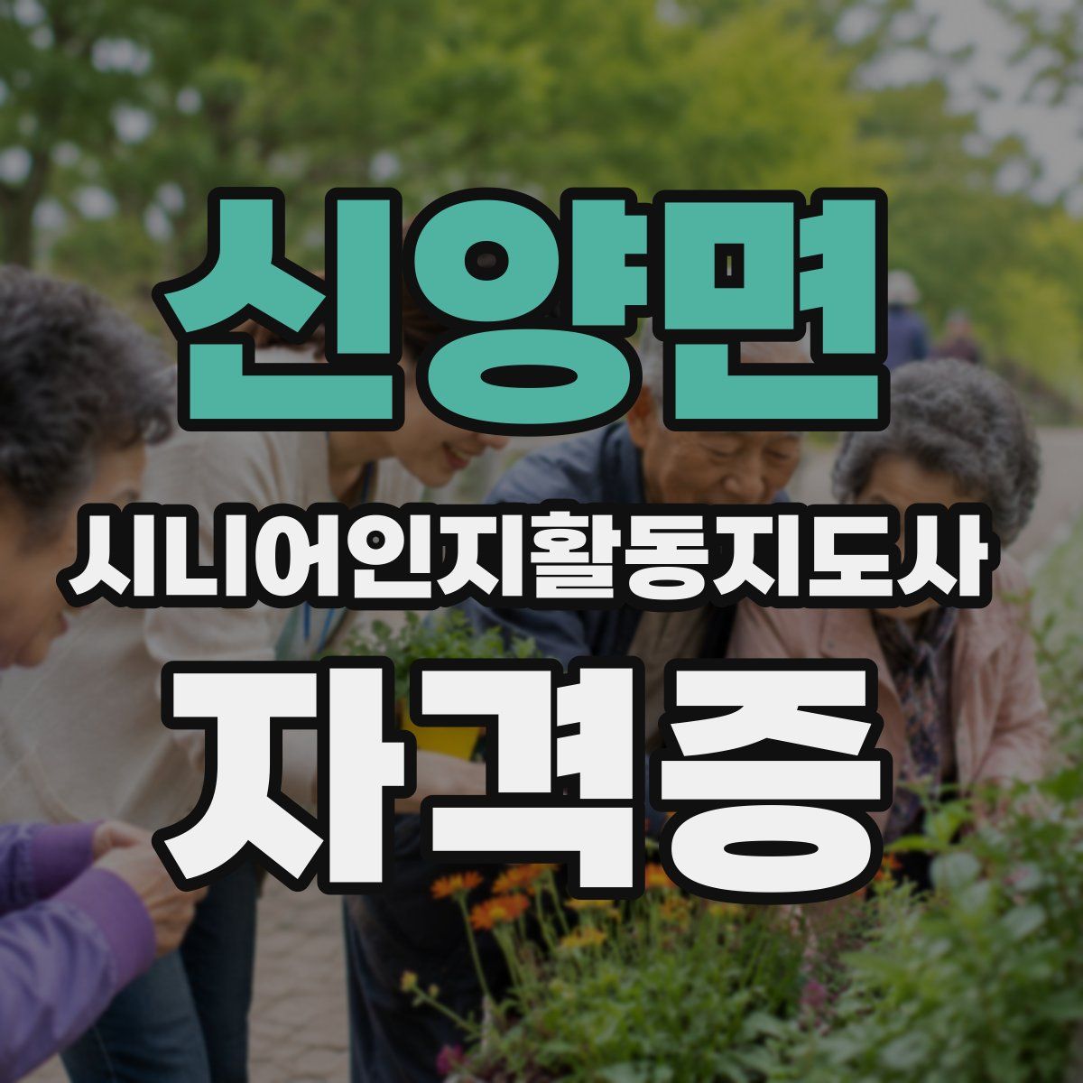 신양면 시니어인지활동지도사 자격증