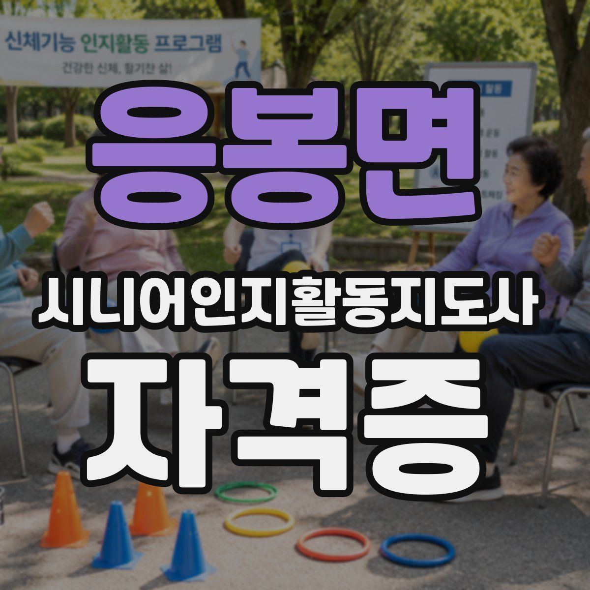 응봉면 시니어인지활동지도사 자격증