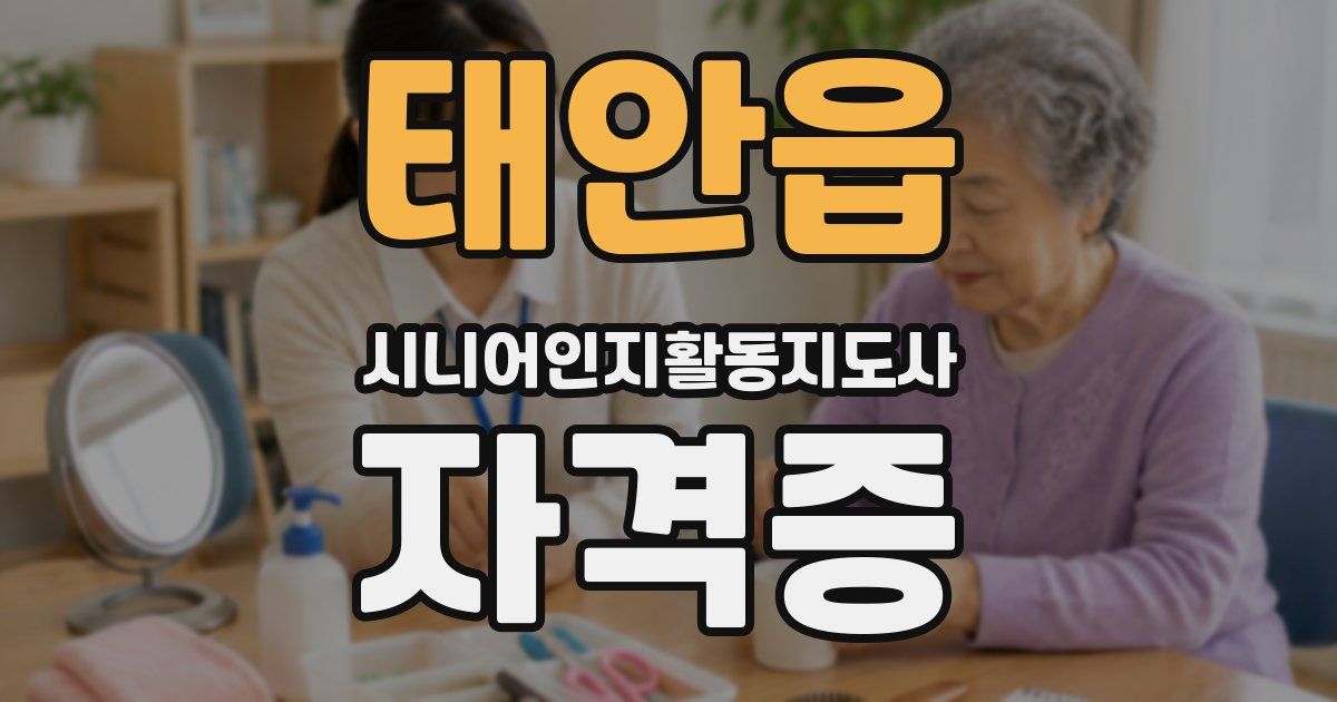 태안읍 시니어인지활동지도사 자격증