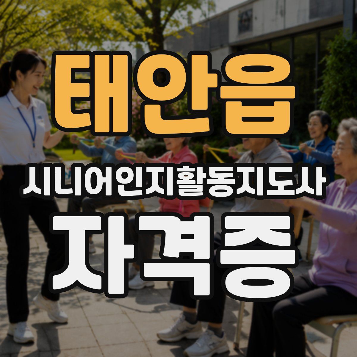 태안읍 시니어인지활동지도사 자격증