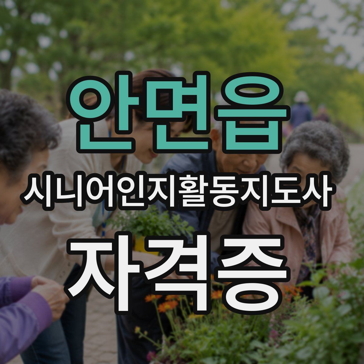 안면읍 시니어인지활동지도사 자격증
