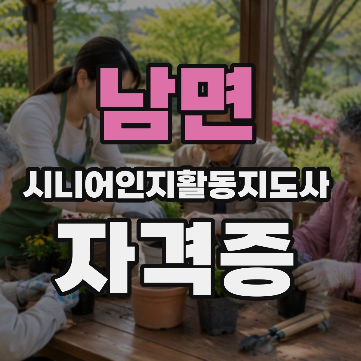 남면 시니어인지활동지도사 자격증