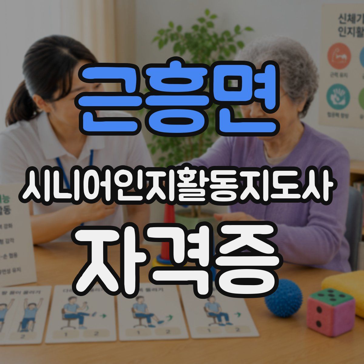 근흥면 시니어인지활동지도사 자격증