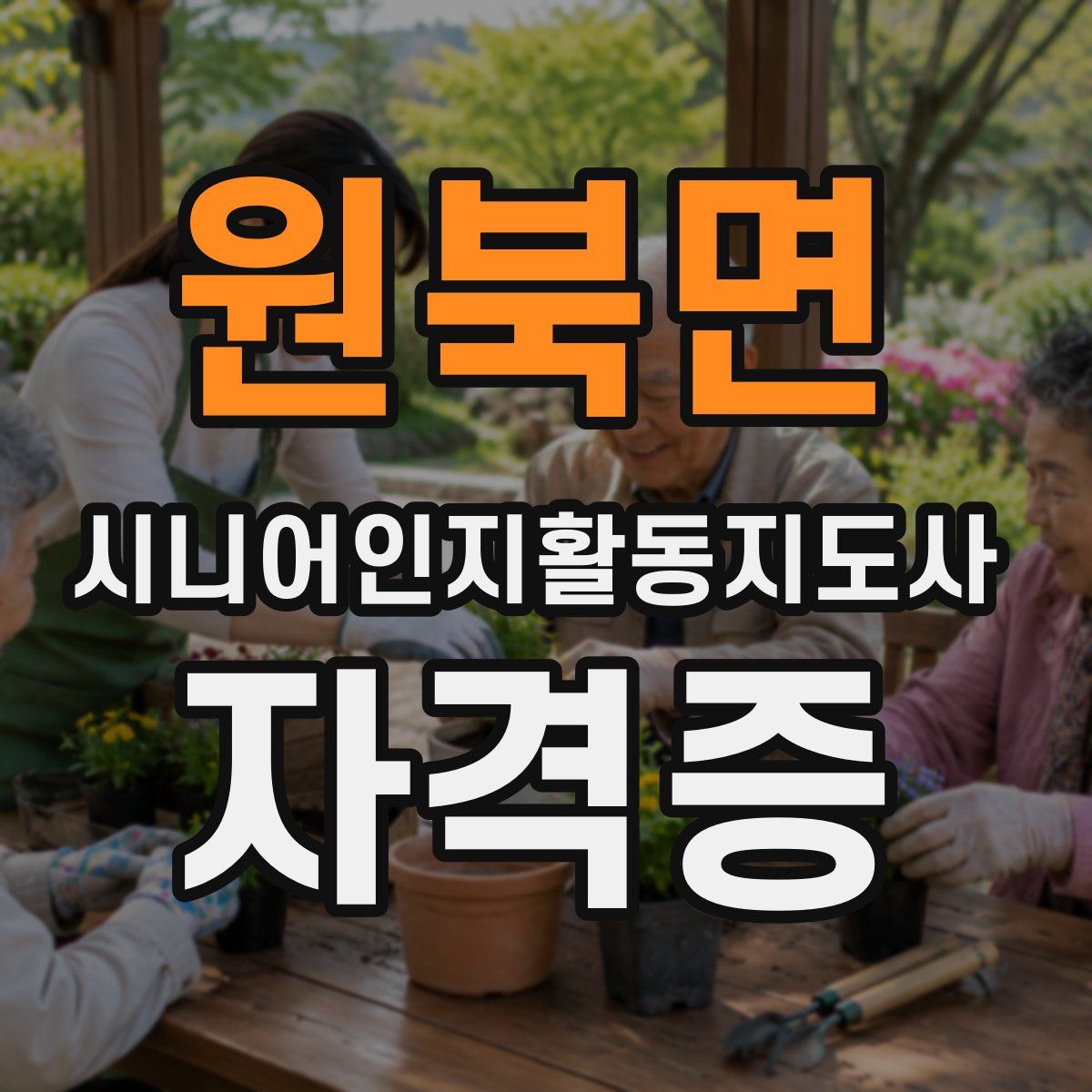 원북면 시니어인지활동지도사 자격증