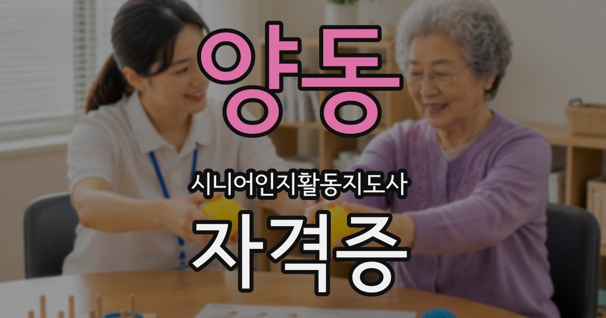 양동 시니어인지활동지도사 자격증