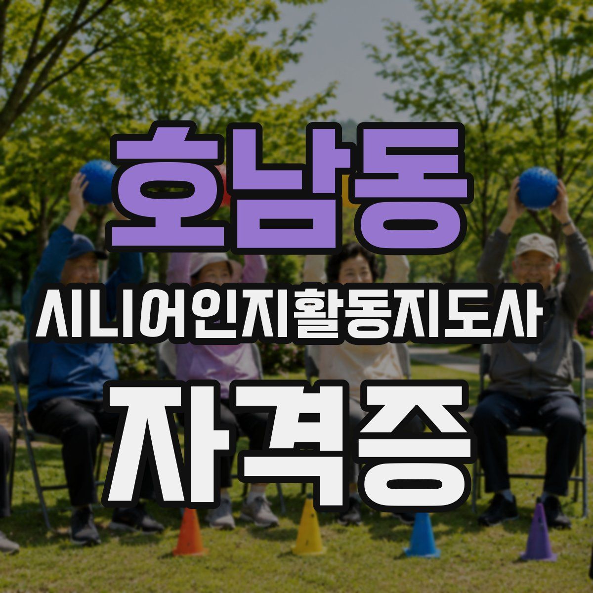 호남동 시니어인지활동지도사 자격증