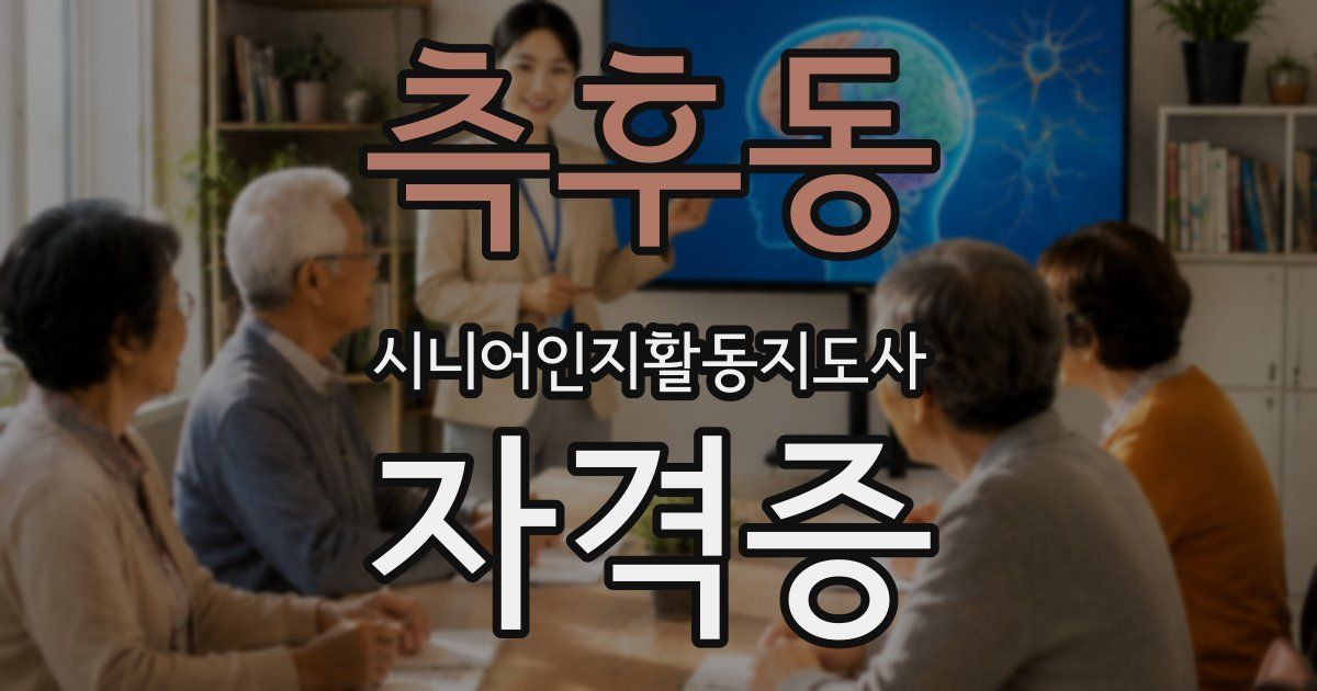 측후동 시니어인지활동지도사 자격증