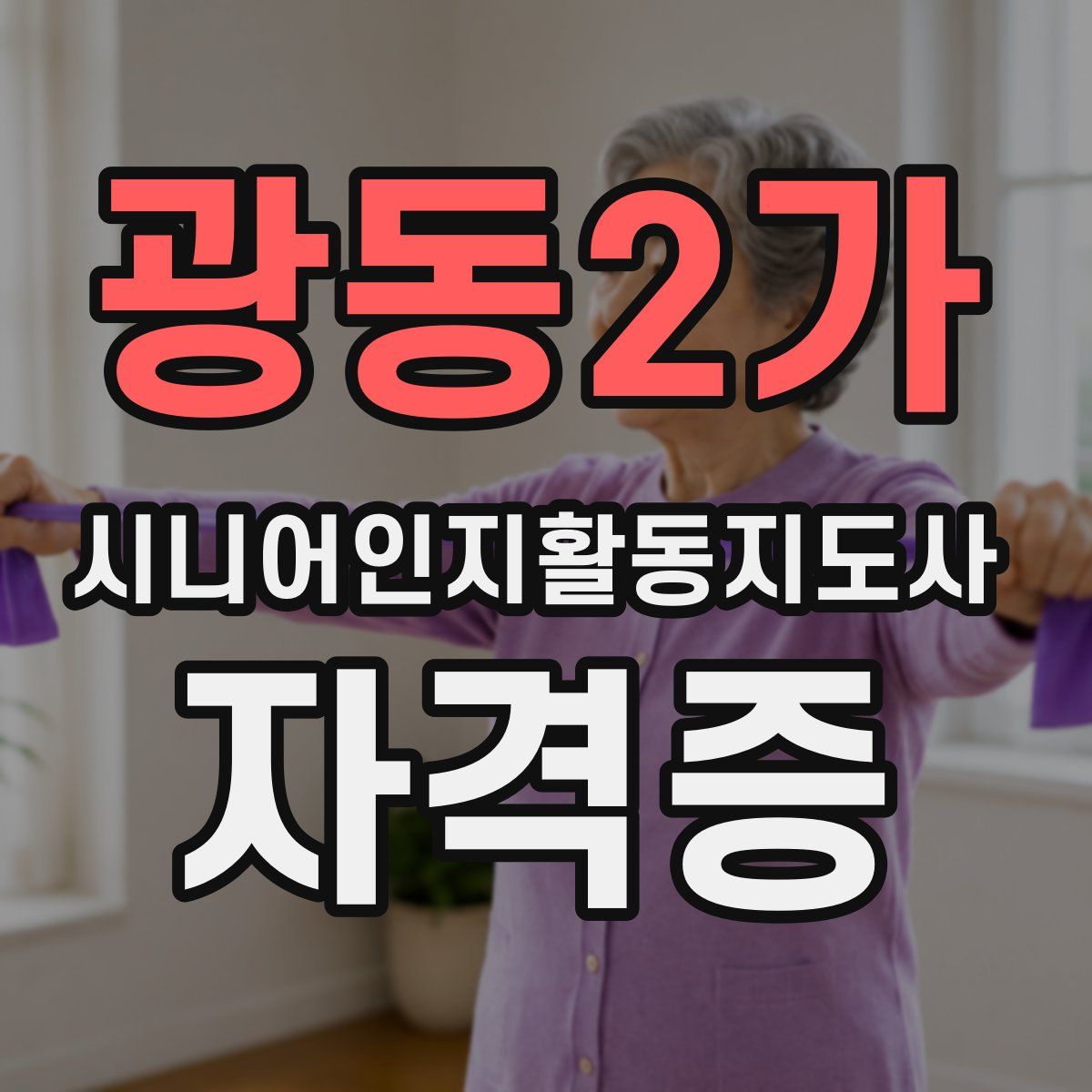 광동2가 시니어인지활동지도사 자격증