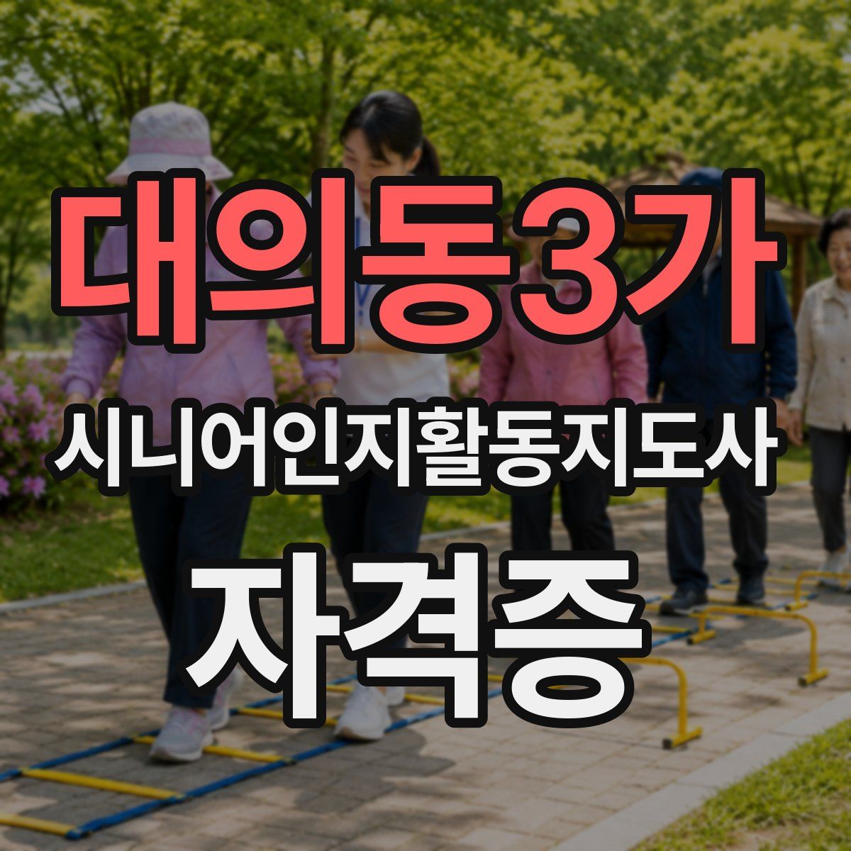 대의동3가 시니어인지활동지도사 자격증