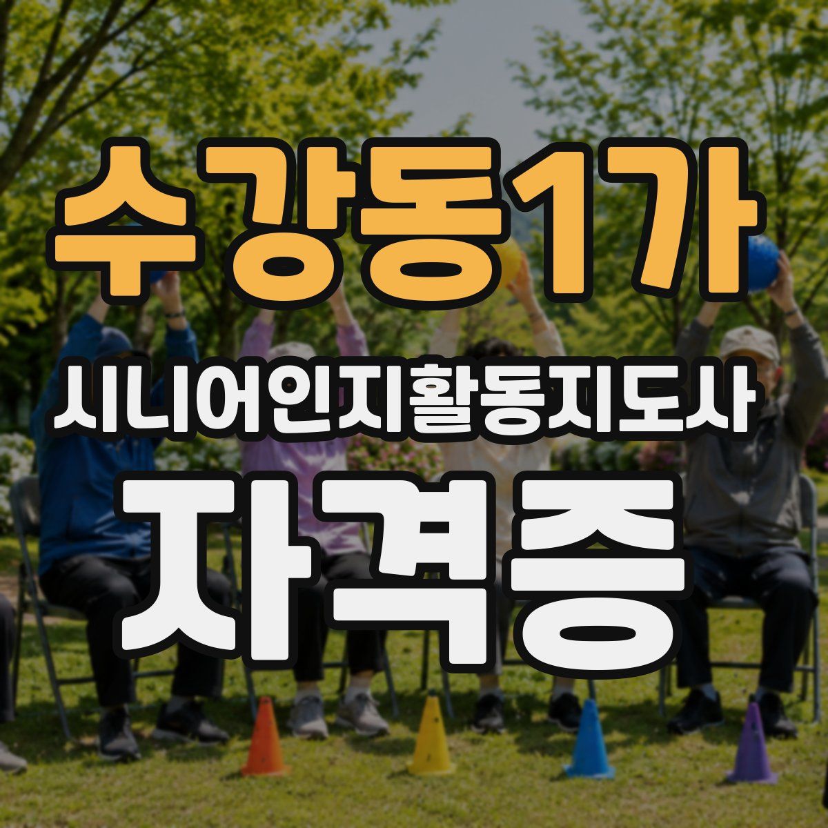수강동1가 시니어인지활동지도사 자격증