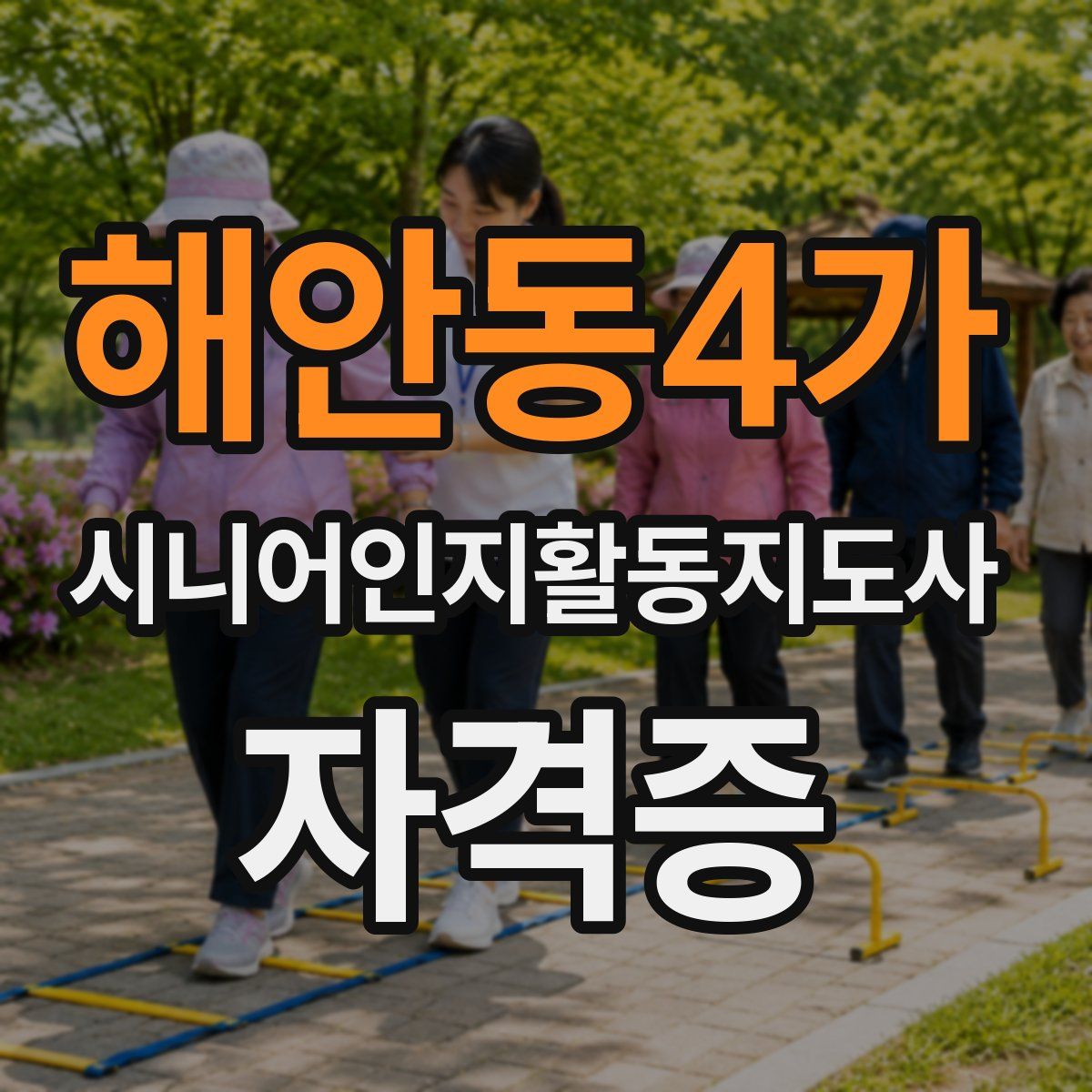 해안동4가 시니어인지활동지도사 자격증
