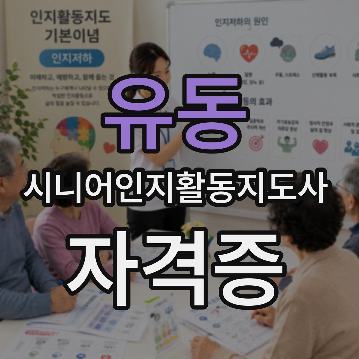 유동 시니어인지활동지도사 자격증