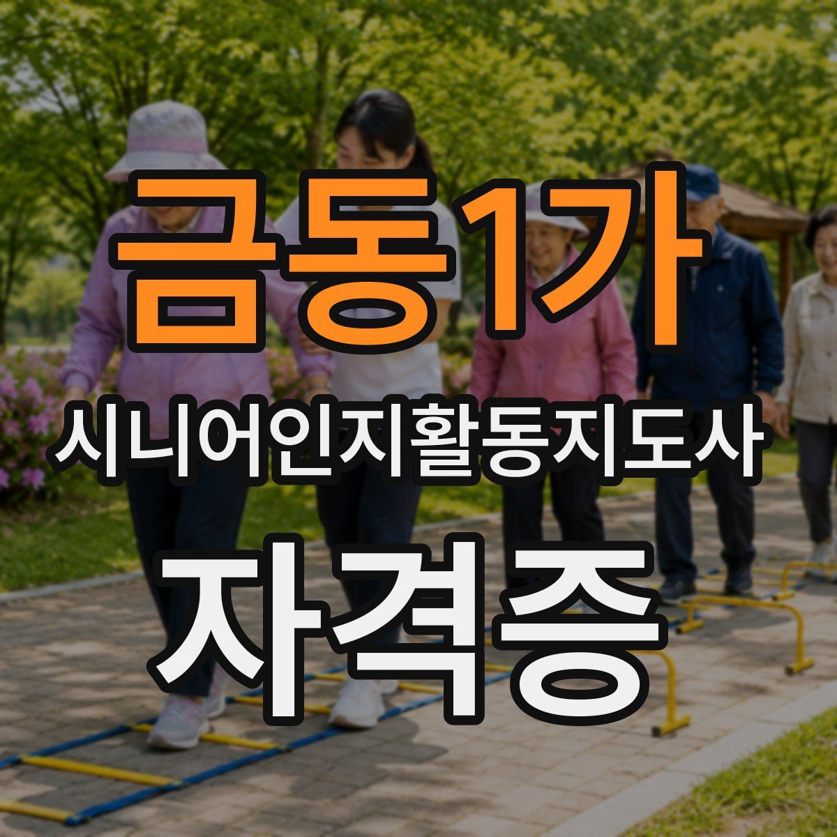 금동1가 시니어인지활동지도사 자격증