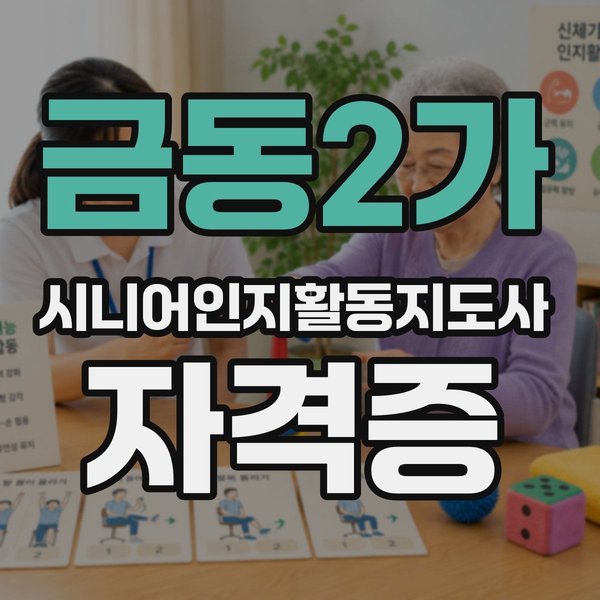 금동2가 시니어인지활동지도사 자격증