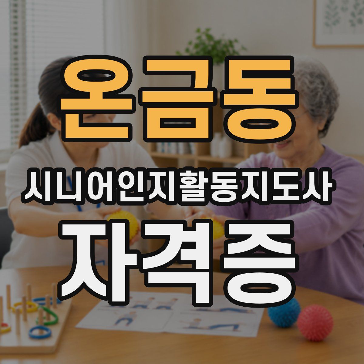 온금동 시니어인지활동지도사 자격증