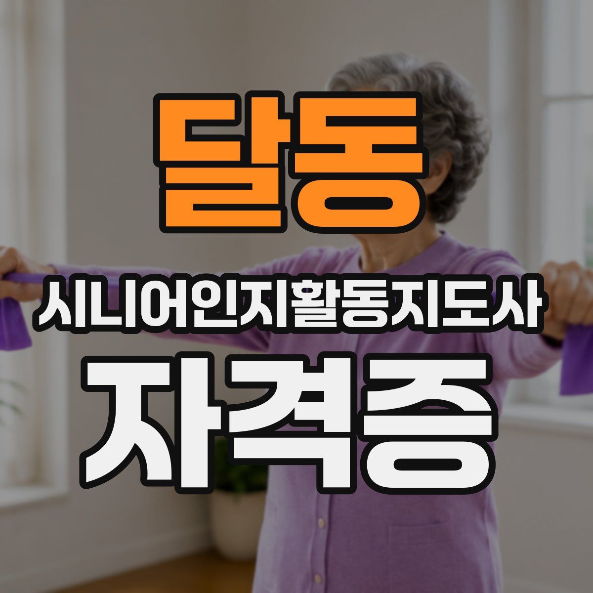 달동 시니어인지활동지도사 자격증