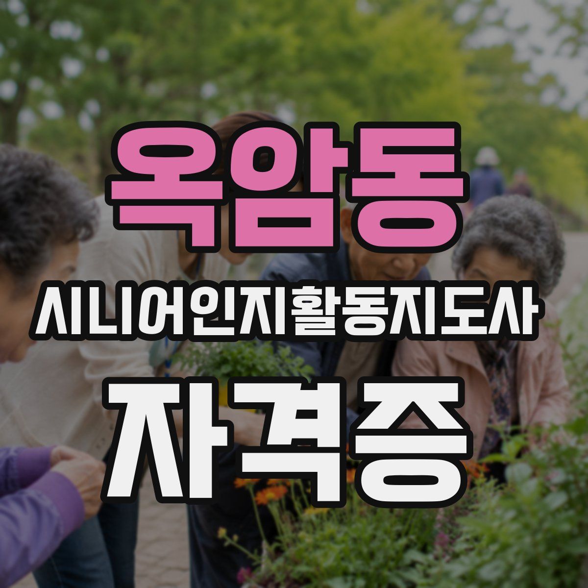 옥암동 시니어인지활동지도사 자격증