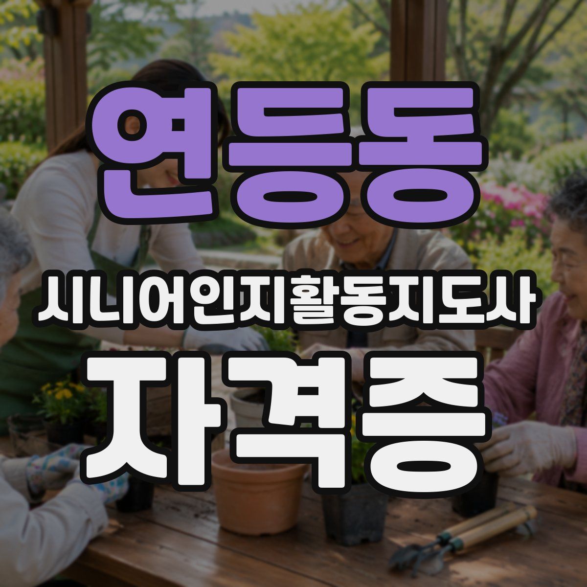 연등동 시니어인지활동지도사 자격증