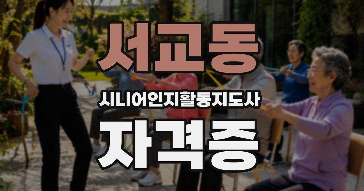 서교동 시니어인지활동지도사 자격증