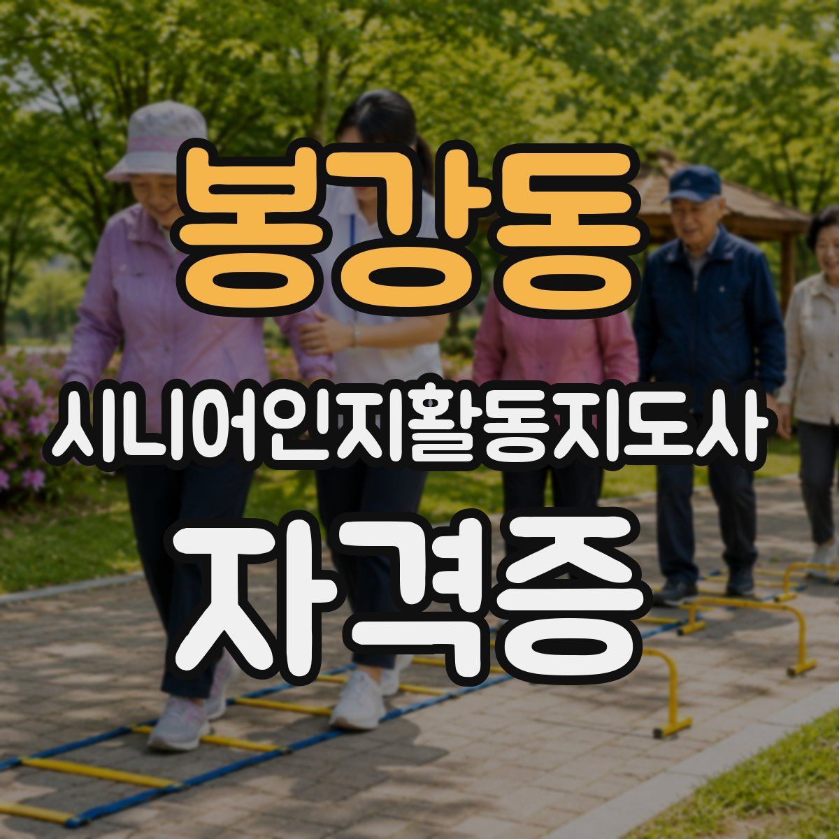 봉강동 시니어인지활동지도사 자격증