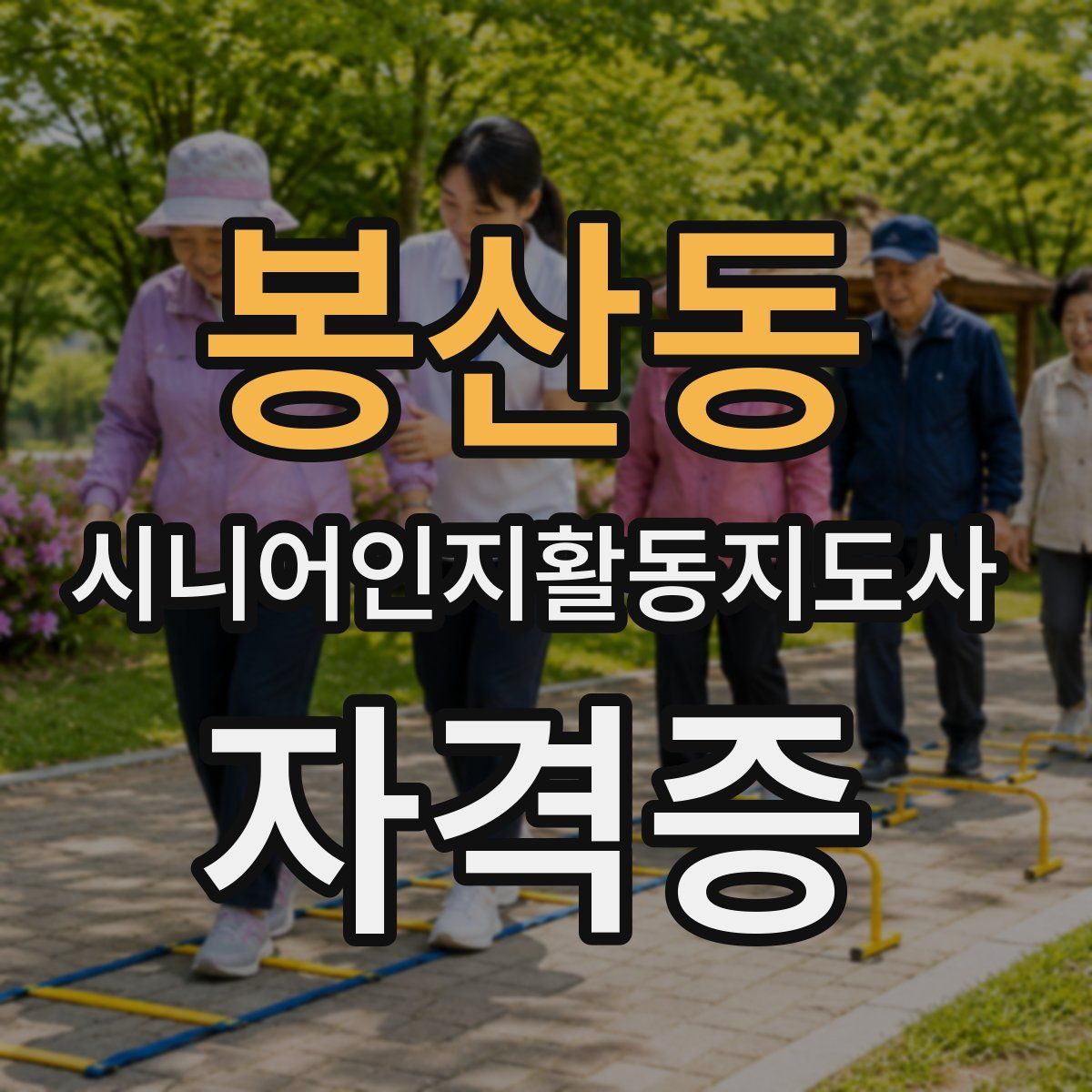 봉산동 시니어인지활동지도사 자격증